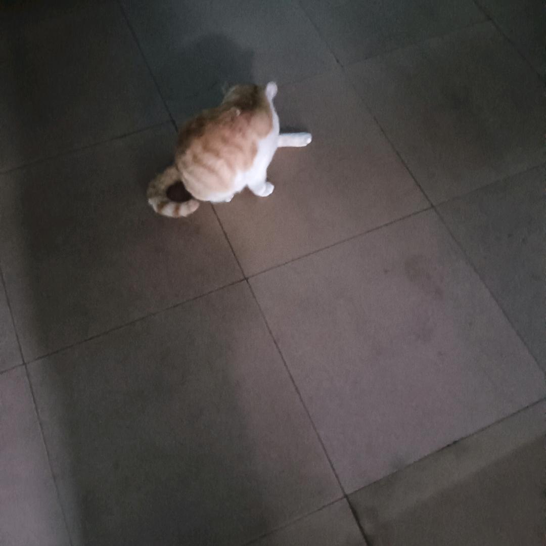 纯粹