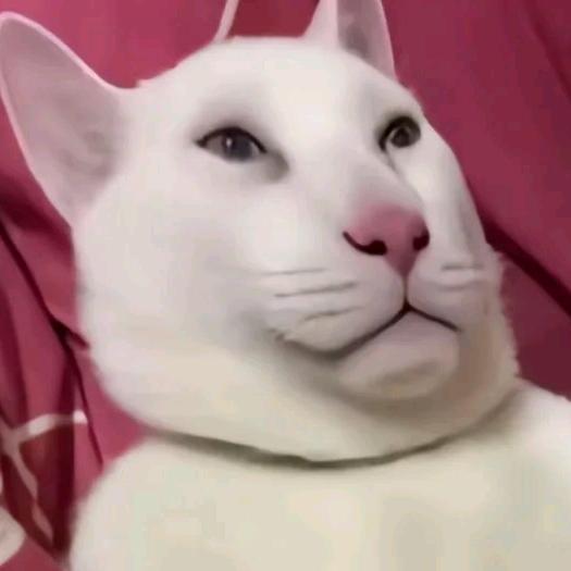 画画的龙(肖)