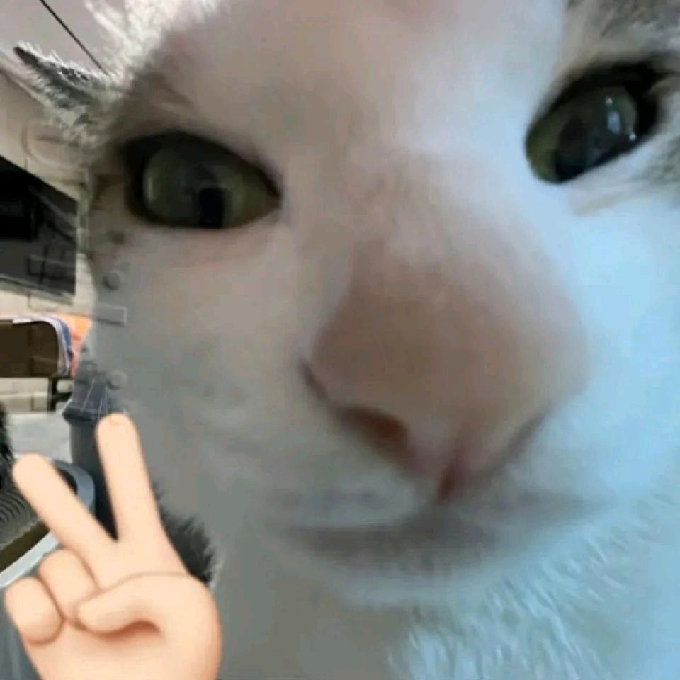 777