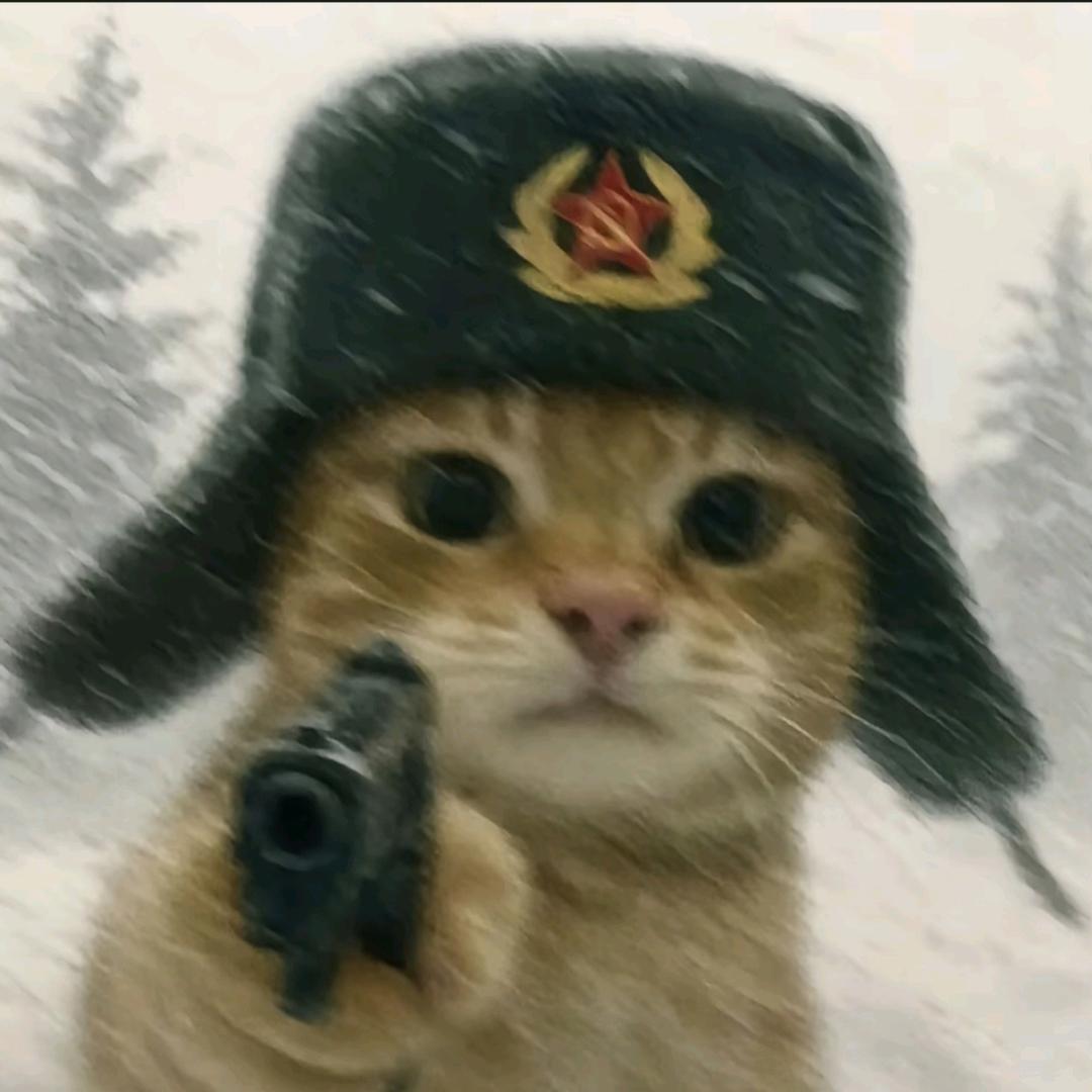 布什戈门
