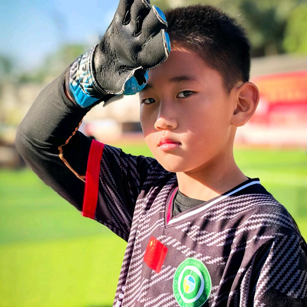 深圳刘梓豪（2017）