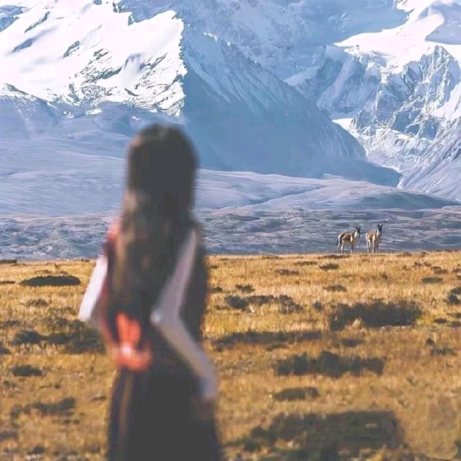 八方来财好运连连万事胜意平安喜乐前程似锦