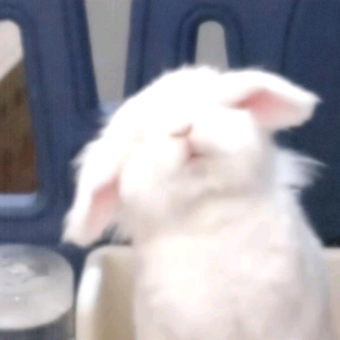 好运¤