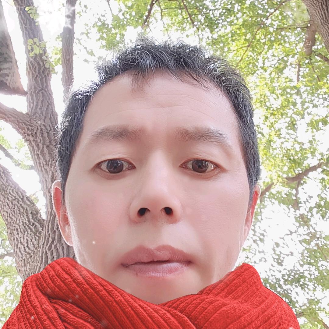 伤心的酒吧