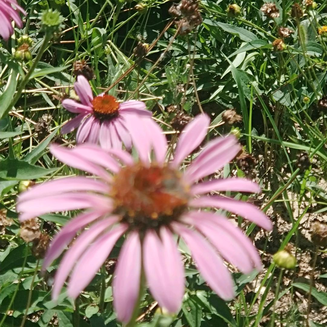 中视频（互关互赞）