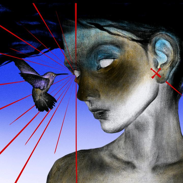 AAA—内蒙牛羊肉批发陈哥（专注好品质）