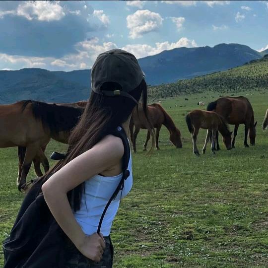 小张啦.