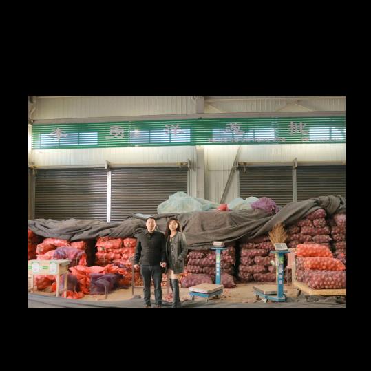 乐陵李勇洋葱中农批发城1⃣️2⃣️号棚