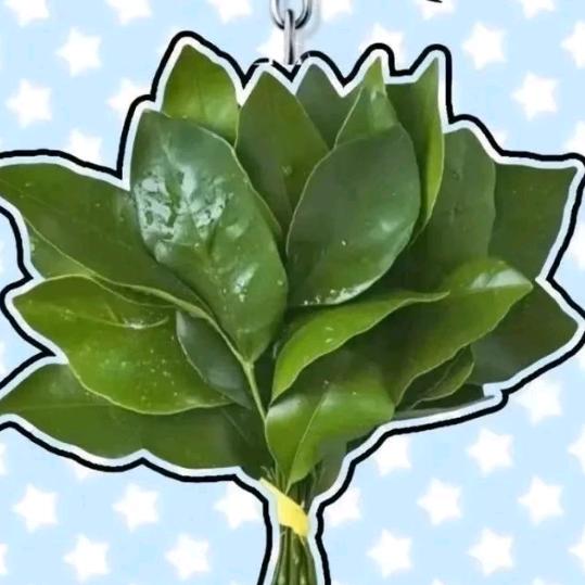 万事如意—河南陈雪、拒聊