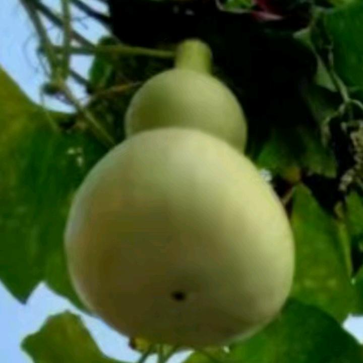 踢了