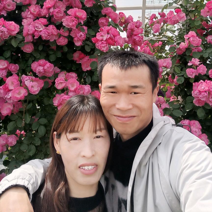 無鈊