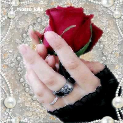 幸福的玫瑰💞🌹🌹💞8087