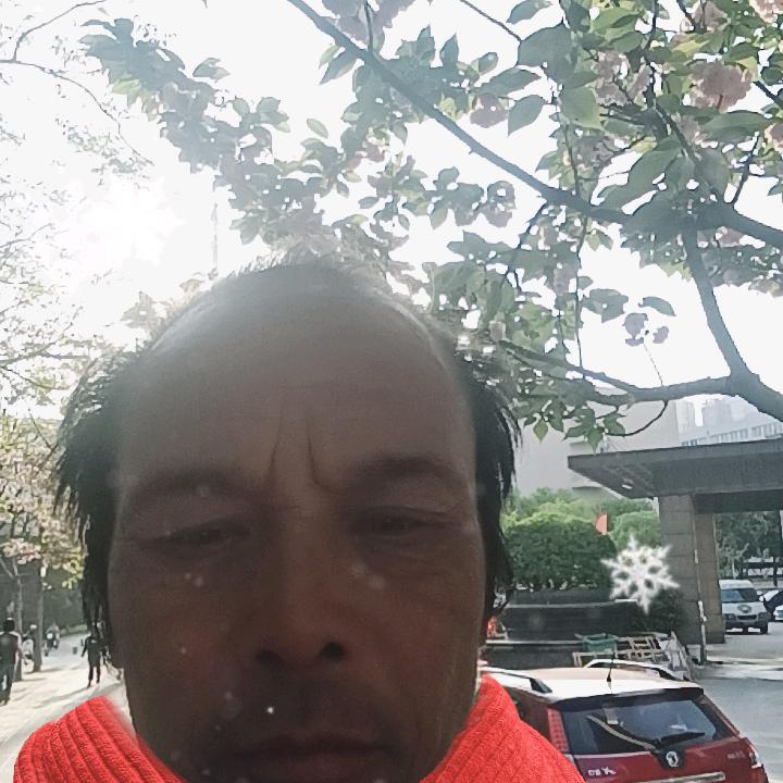 四季花开珠海歌巨院