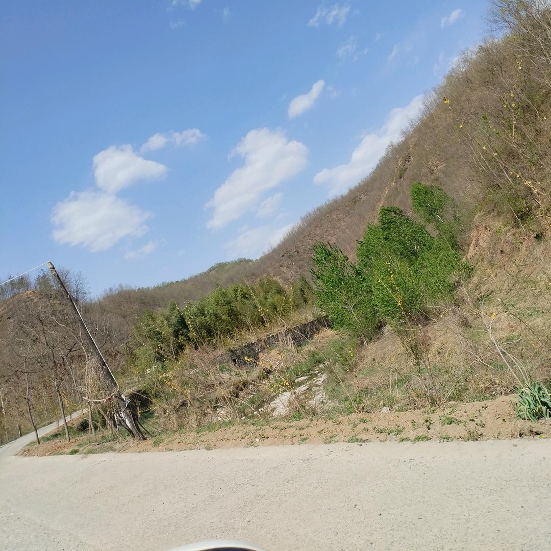 安之若素lz