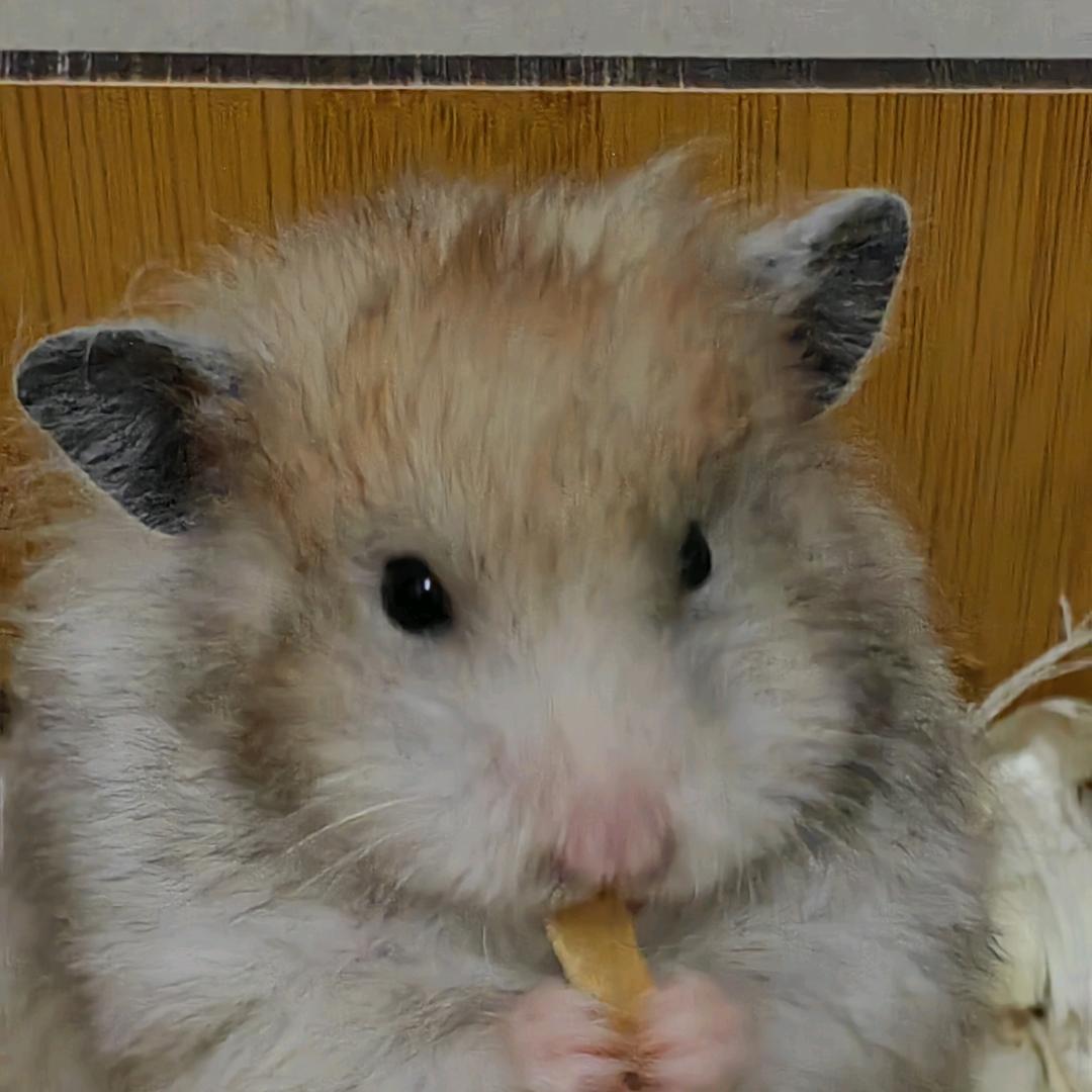 淼喵缪淼淼淼淼淼淼