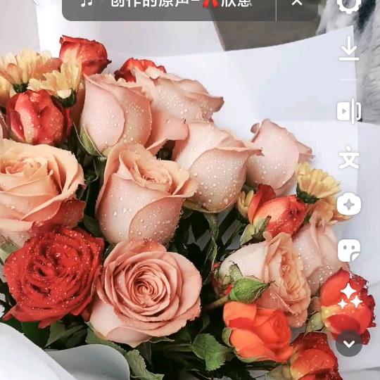 侯家幺妹