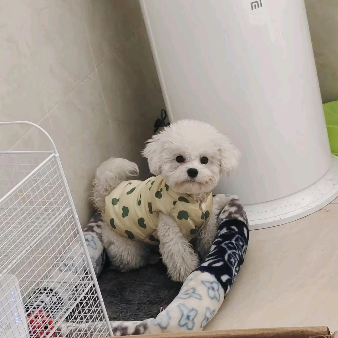 不要急慢慢来