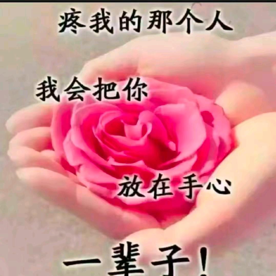 💐💐💐💐🌹🌹🌹🌹🌹🦋