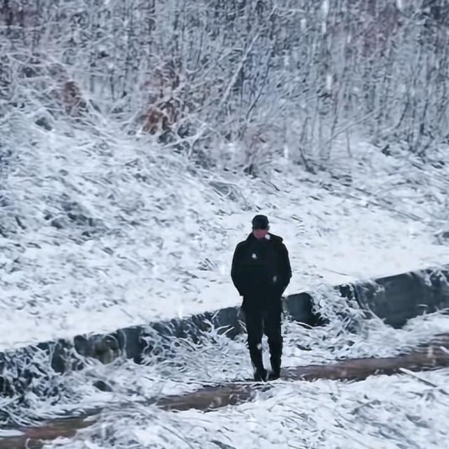 荒  芜