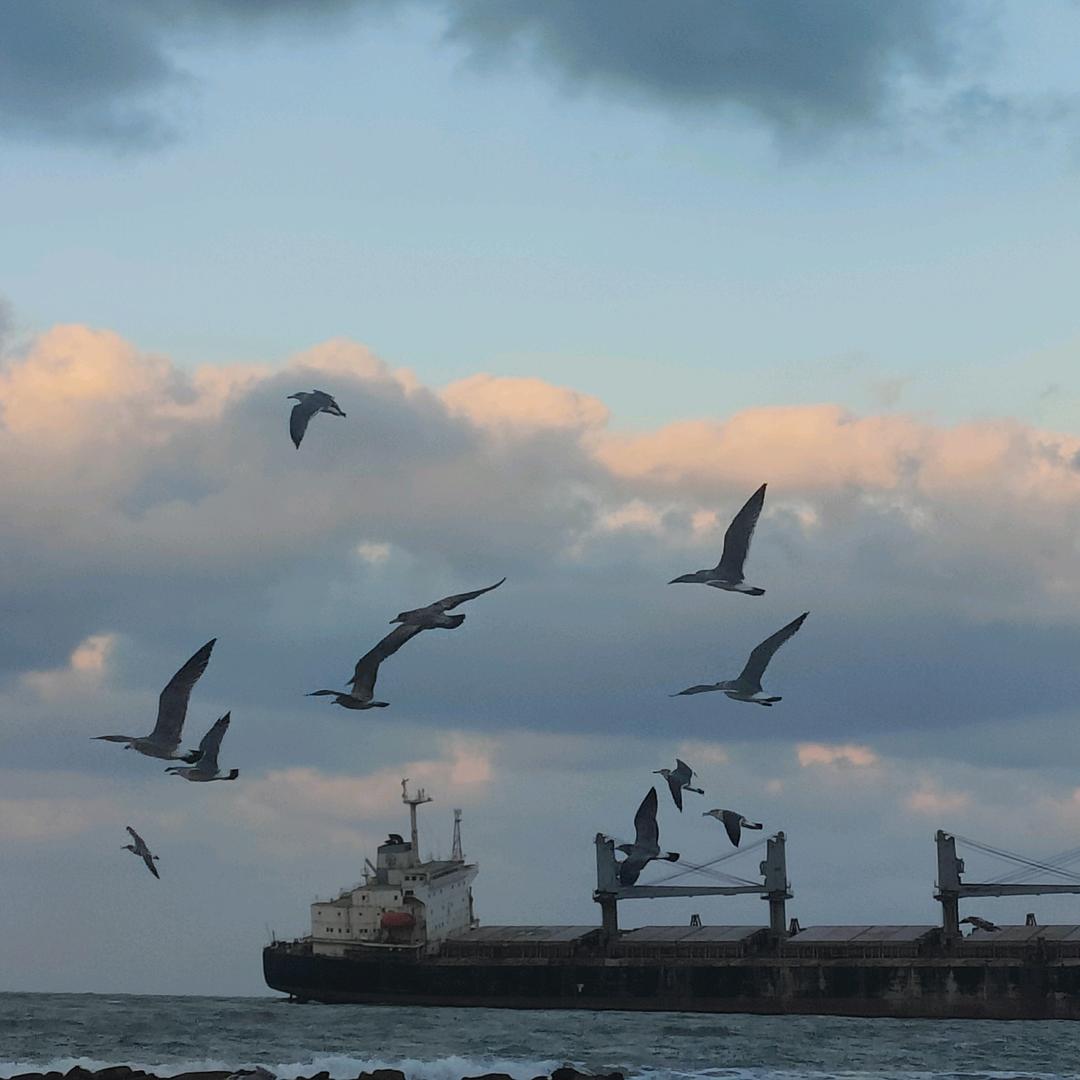 撑伞也是雨中人