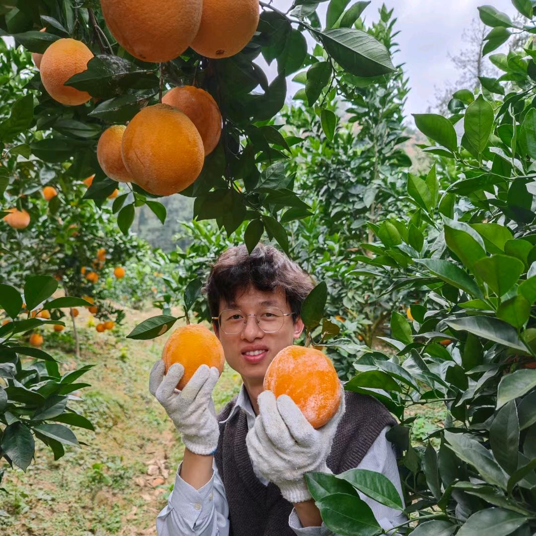 然若家石灰脐橙果园