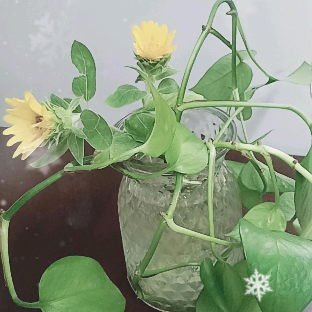 王浩拆改、土建工程