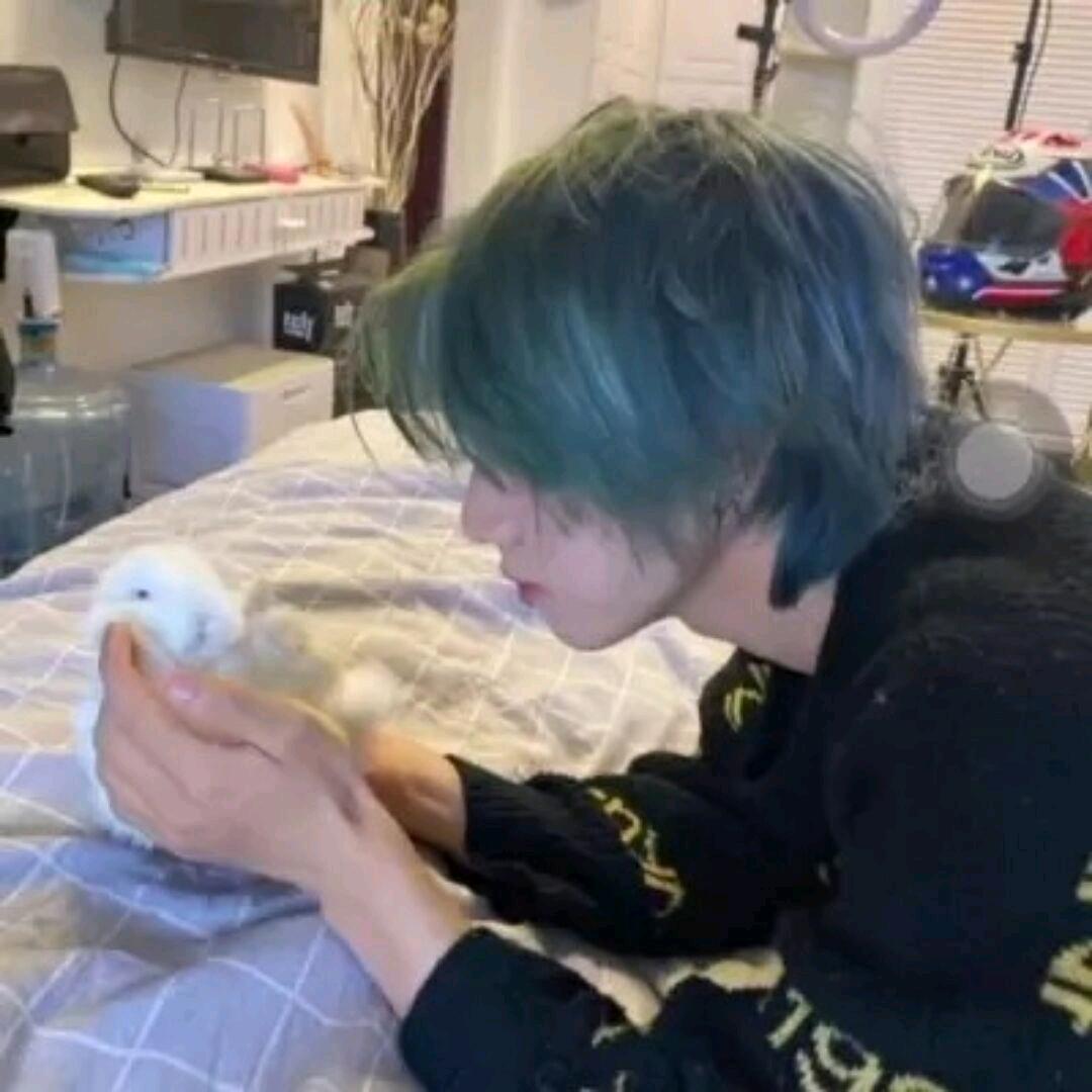 简简单单