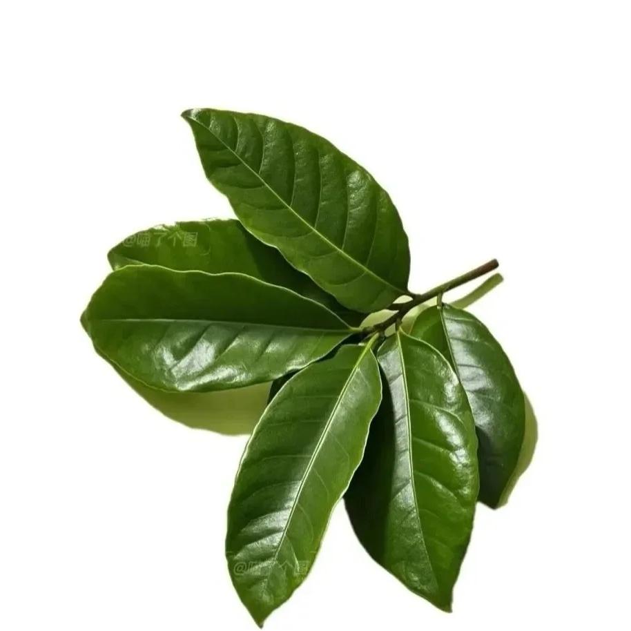 似雨水宛春泉