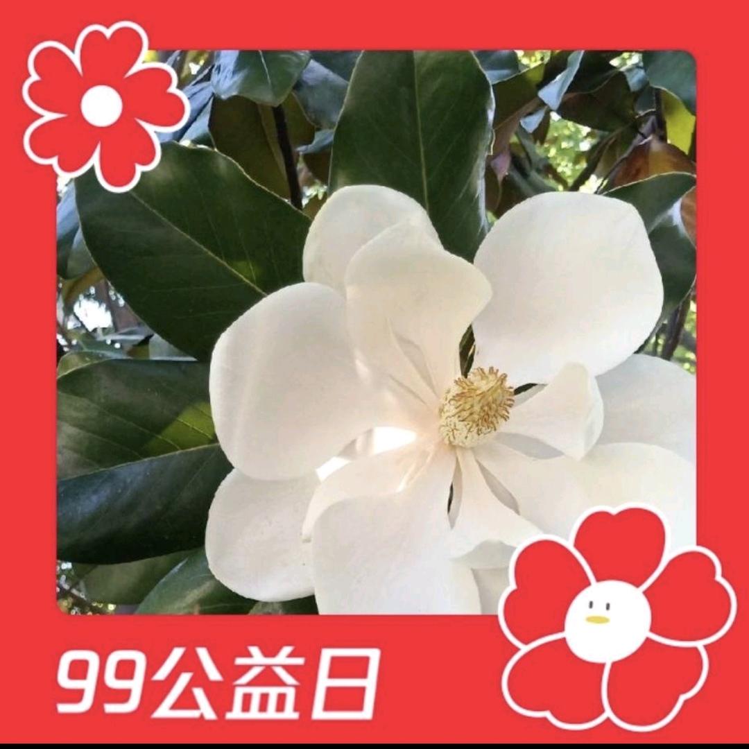 平安A