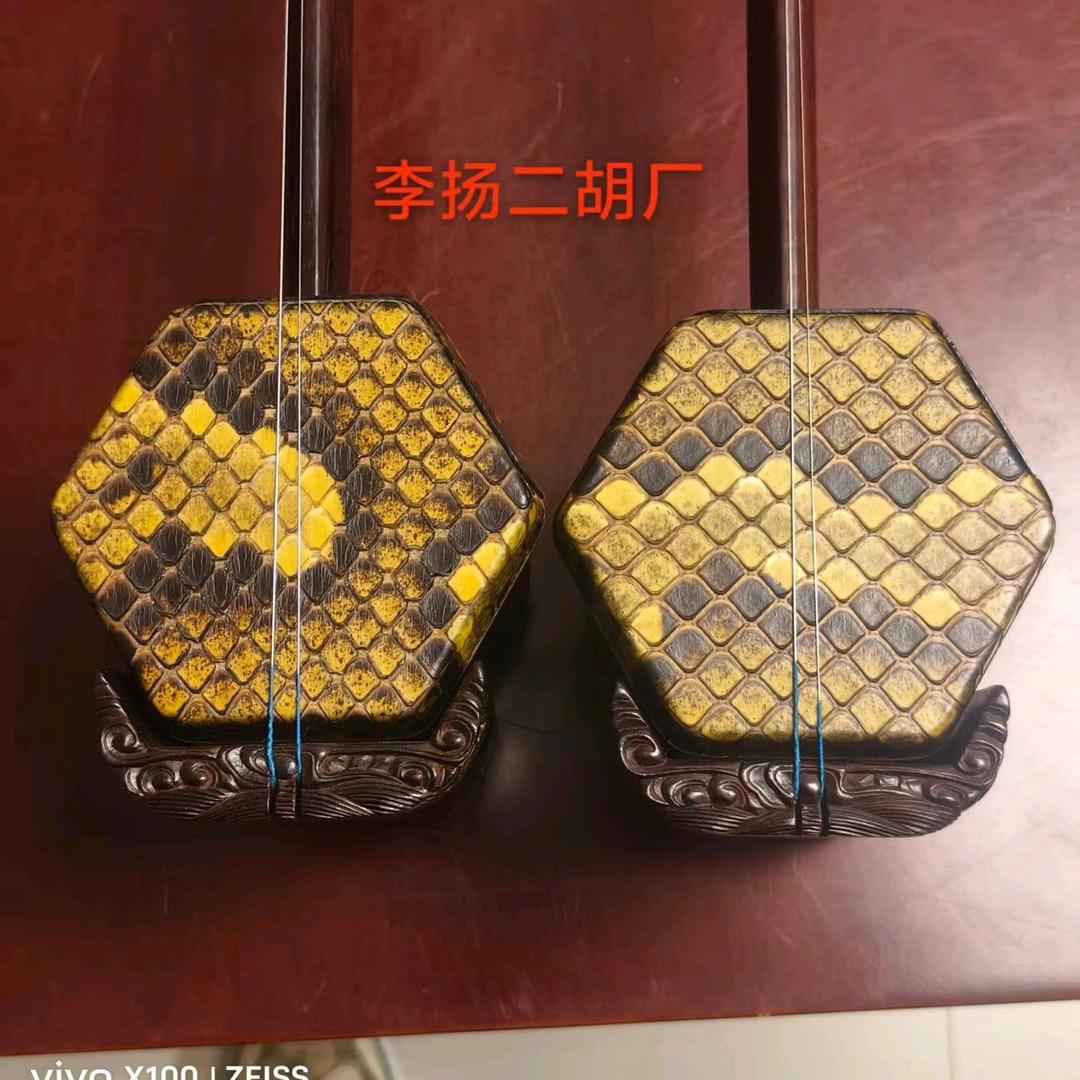 定远皖胡韵乐器厂，李扬二胡。