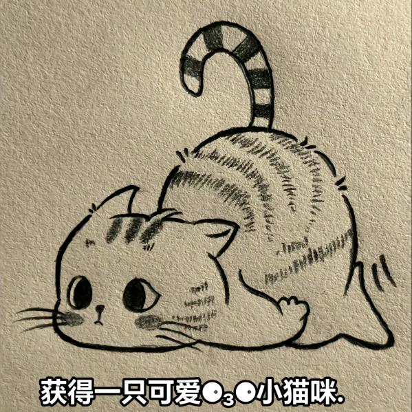 🤗🤗🤗~~~琳宝