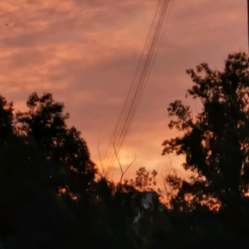 冬天的一把火。