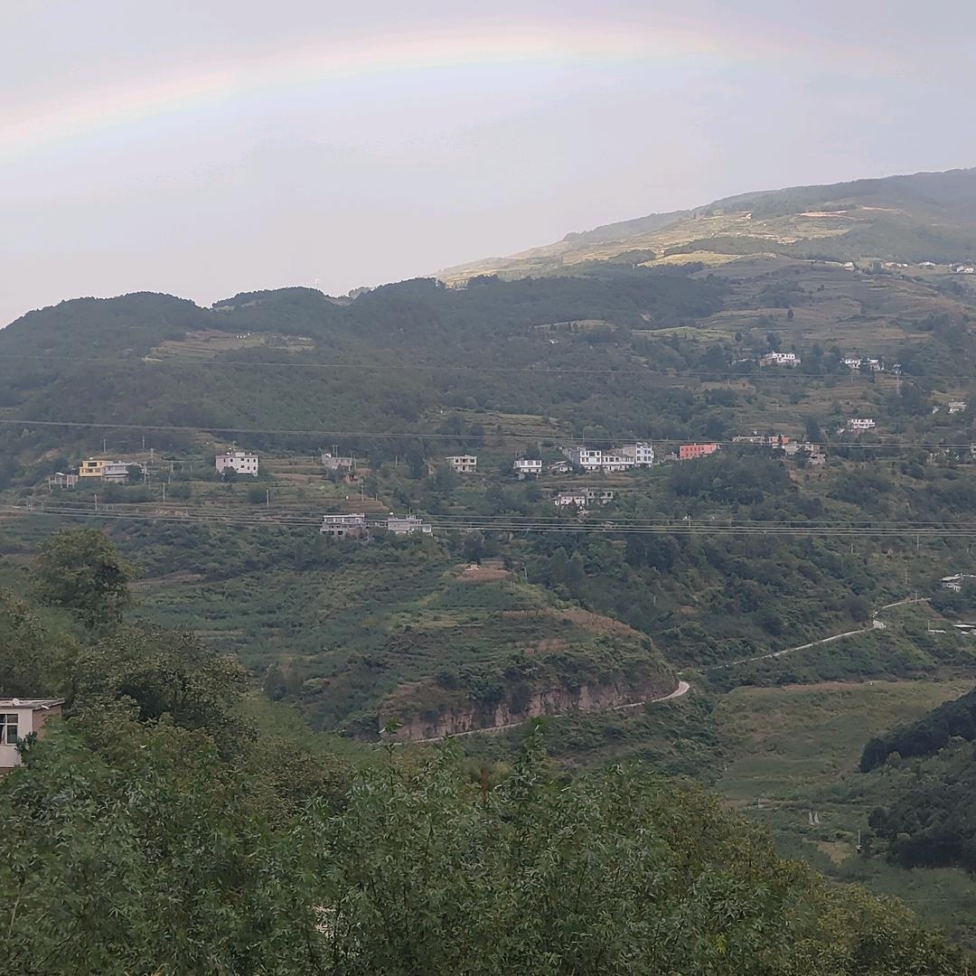 为了爱情伤不起