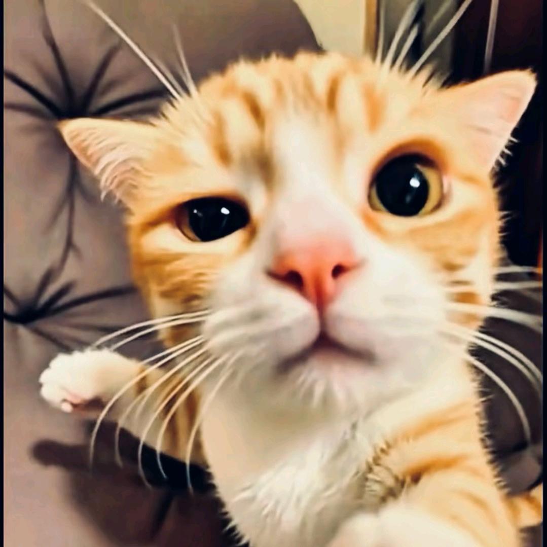 一口吞个小笼包