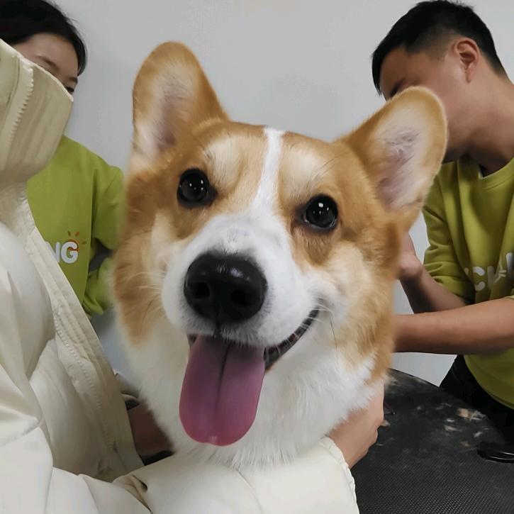 南京踏奇智能工作室