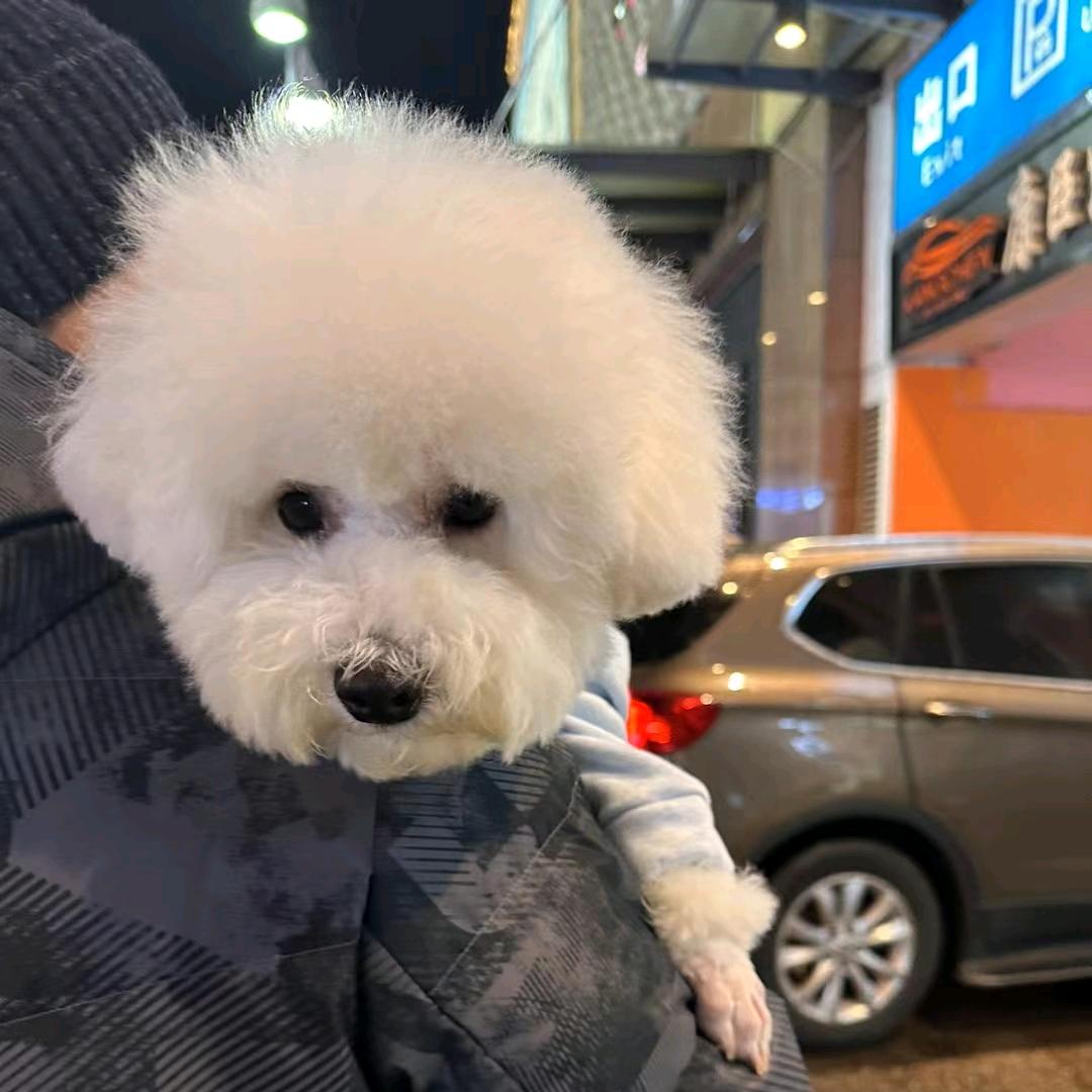 🌸小花