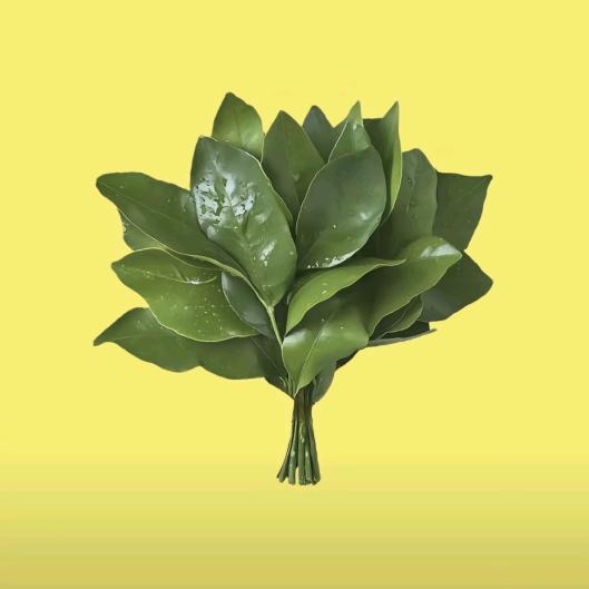 ໒꒰ྀིᜊ꒦ິ^꒦ິᜊ ꒱ྀིა