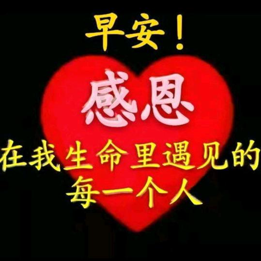 伴你左右
