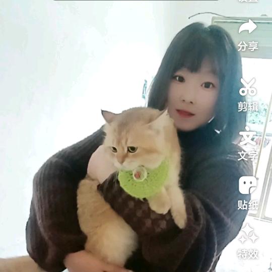 姚记脆皮鸡蛋糕((❤️⥎❤️))