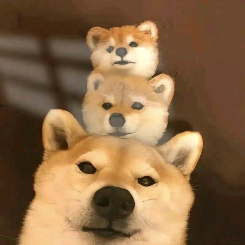 云云云云云云云云~