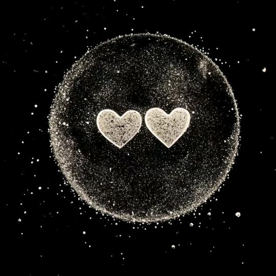 ꦿ简单ོྂཾ࿆࿐