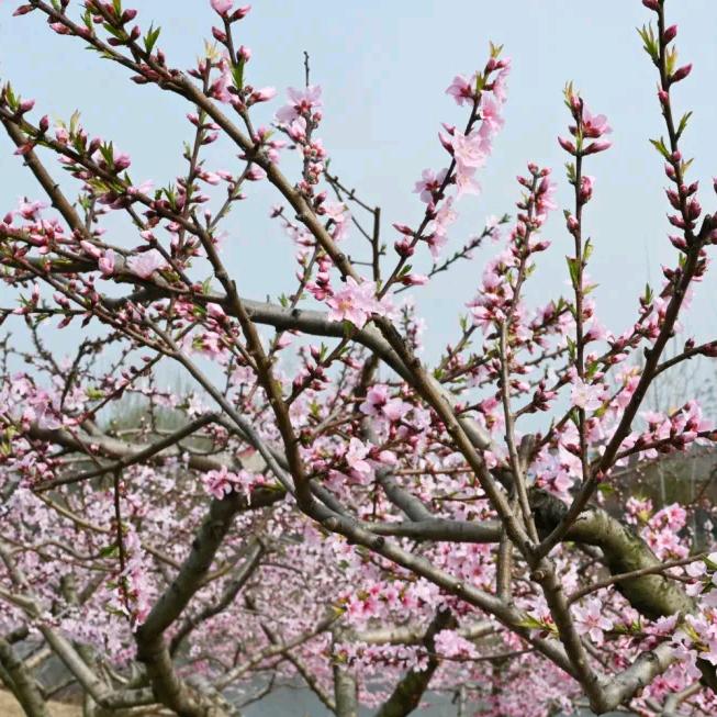 空心之城🙏💔🔒