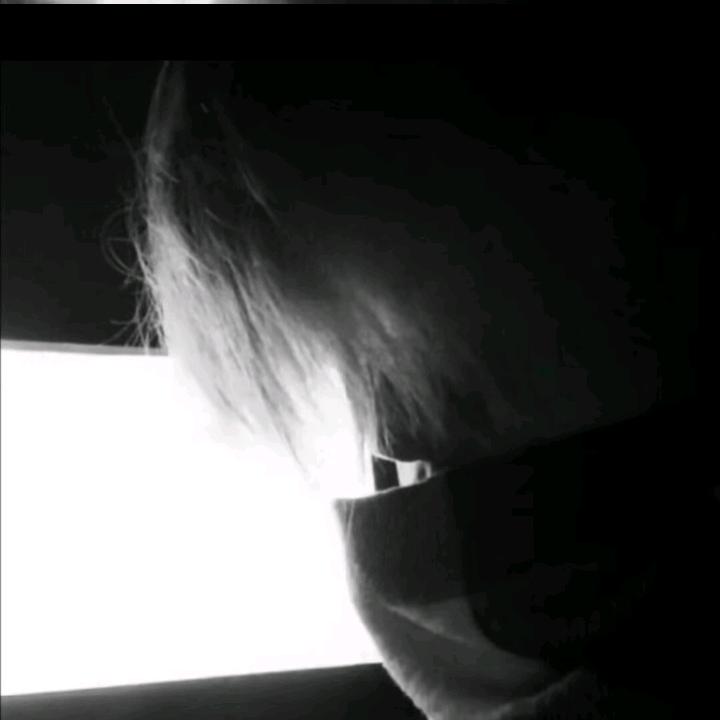 月月鸟....
