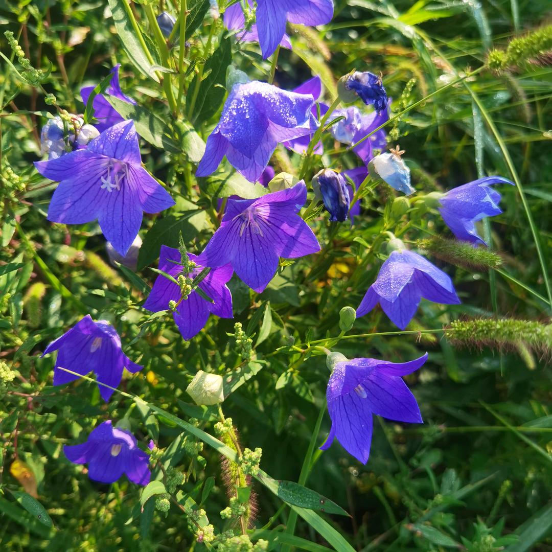 好家伙啊😦😦😦😦😦😦😦😦