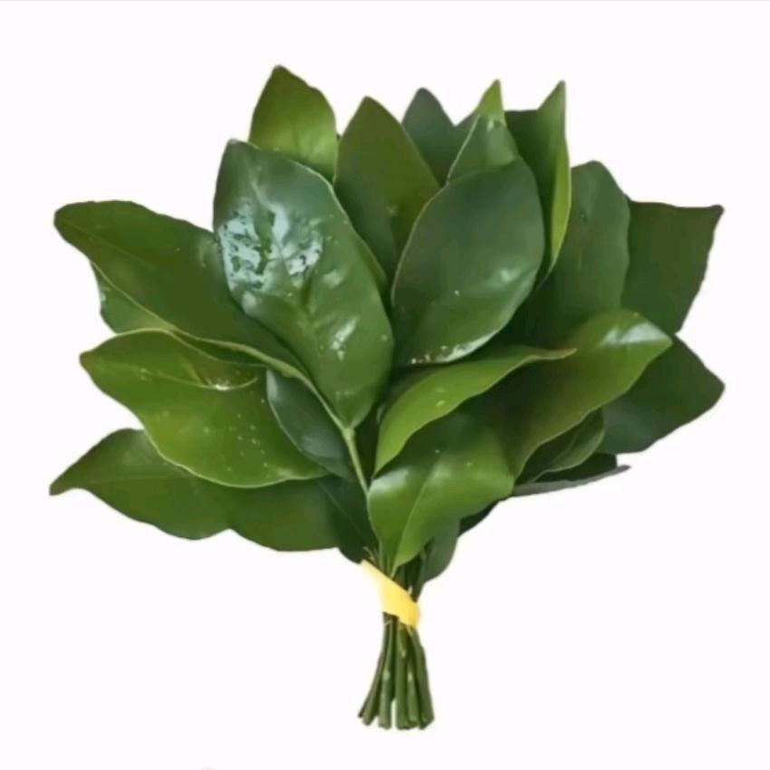 罐装～【👀置鼎曲汁源】