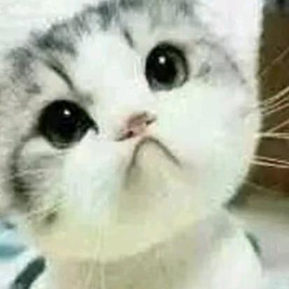 川妹：平安，健康…