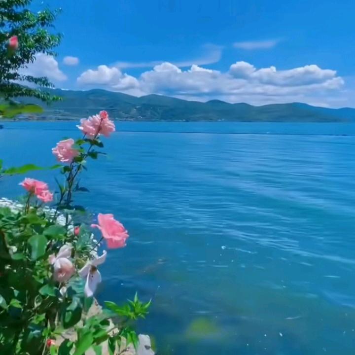 🍃岁月如歌🍃