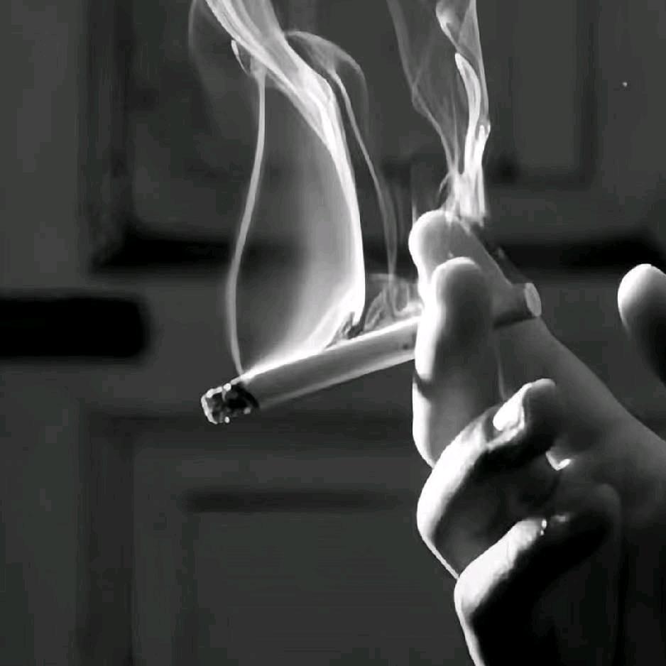 MrLi
