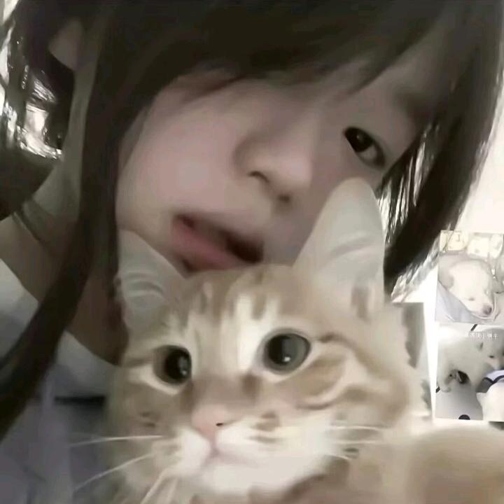 困困鱼🐾头像