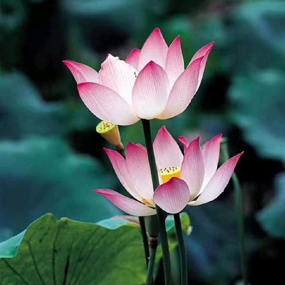 七零后，